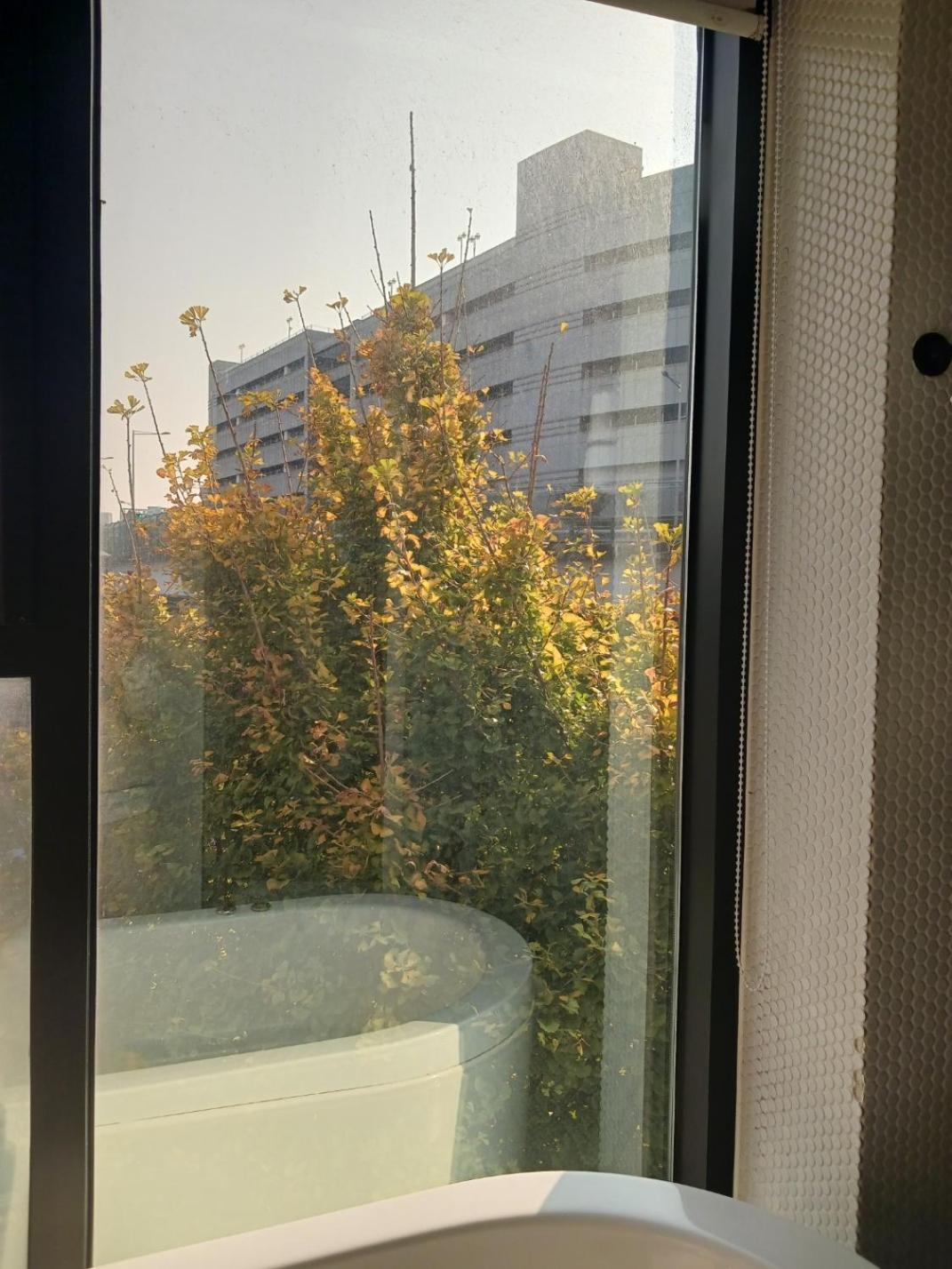 Hotel 31Page Seul Zewnętrze zdjęcie